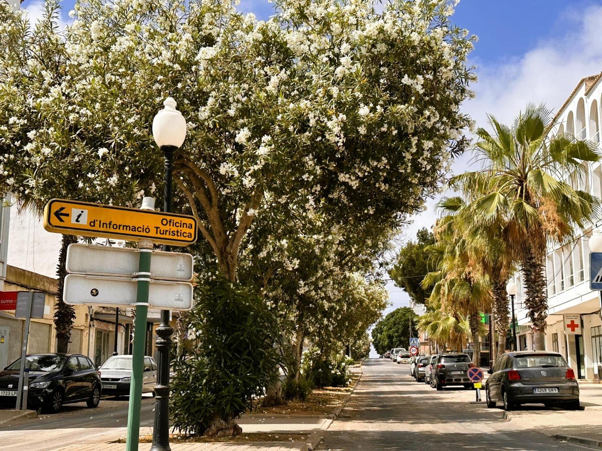 Vakantiehuis Mallorcasita